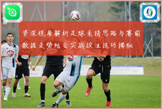 资深视角解析足球竞猜思路与赛前数据走势结合实战投注技巧揭秘