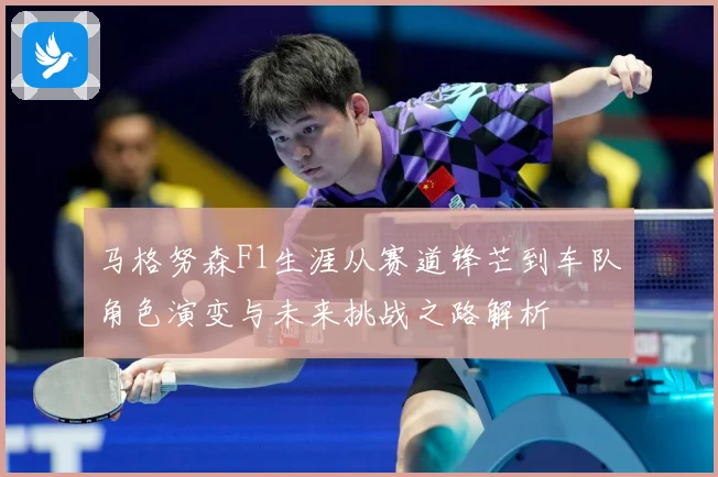 马格努森F1生涯从赛道锋芒到车队角色演变与未来挑战之路解析