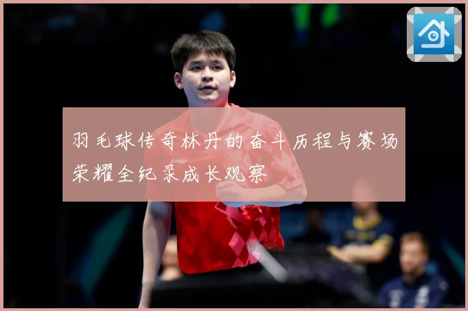 羽毛球传奇林丹的奋斗历程与赛场荣耀全纪录成长观察