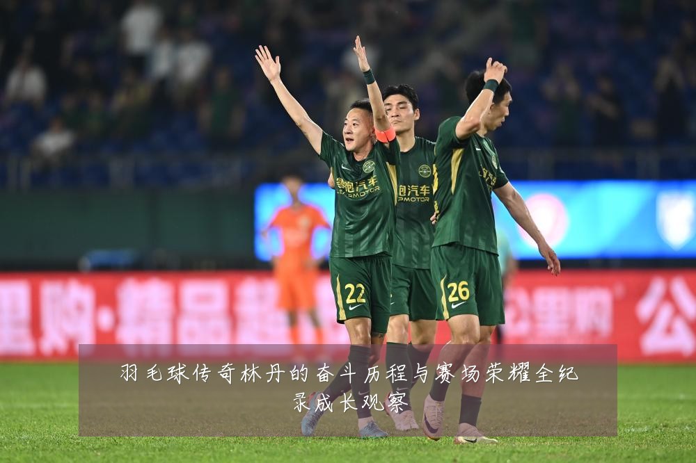 羽毛球传奇林丹的奋斗历程与赛场荣耀全纪录成长观察